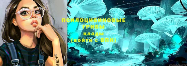 стафф Белоозёрский