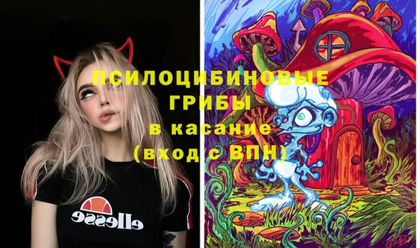дурь Белокуриха