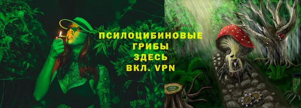дурь Белокуриха