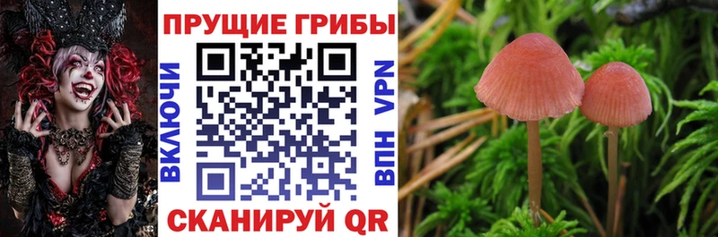 MEGA зеркало Шумерля Галлюциногенные грибы мицелий